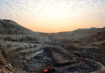 Mining plants