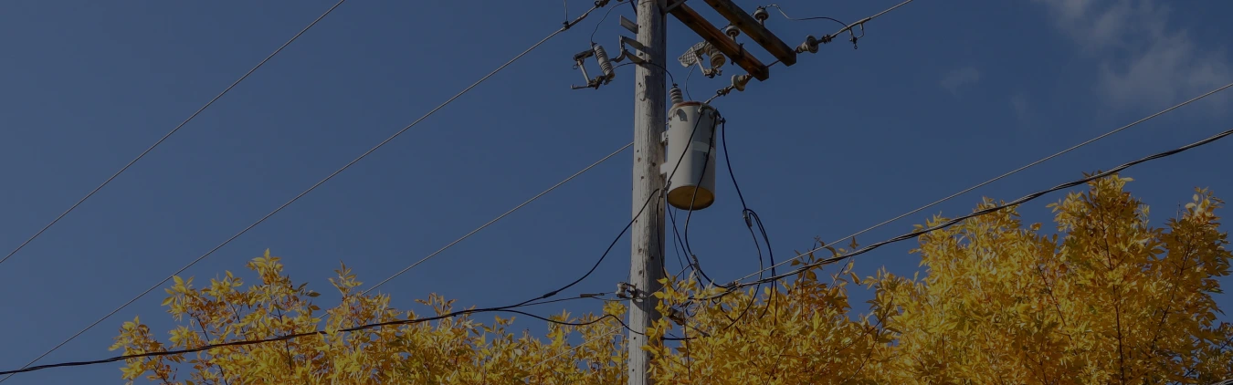 100 kVA Pole Mounted Transformer Installed Outdoors on A Utility Pole
