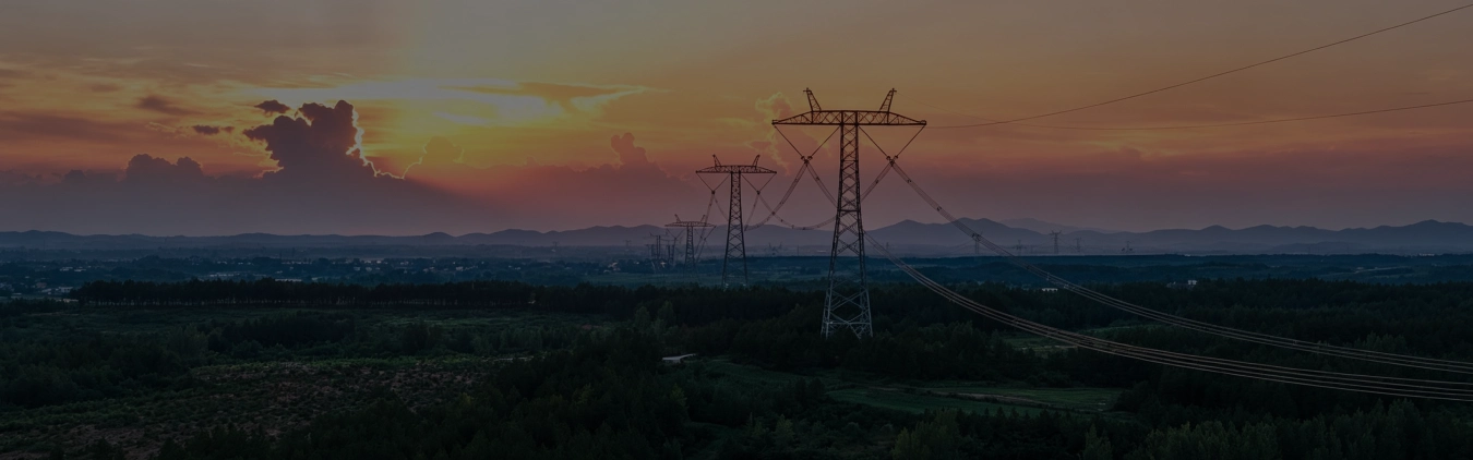 overhead power grid