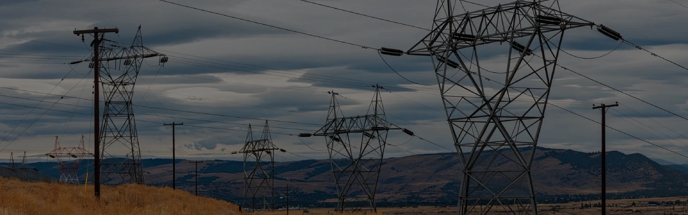 power grid