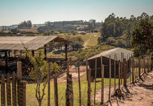 Farm