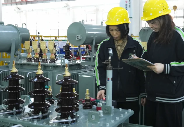 routine test for 167 kva transformer​